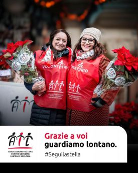 Ail stella di natale