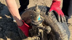 Pneumatico Foto Gianna Di Lena