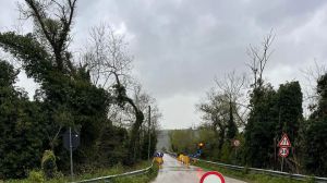 Ponte sul sinello tra Pollutri e Vasto