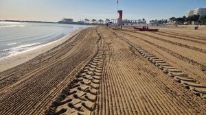 Pulizia spiaggia