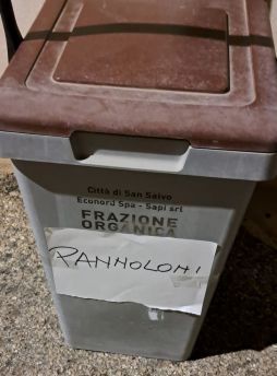 Pannoloni