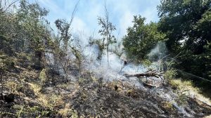 Incendio