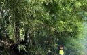 Incendio