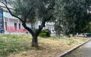 Parco via delle ginestre