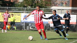 Pro vasto