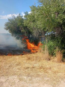Incendio