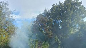Incendio