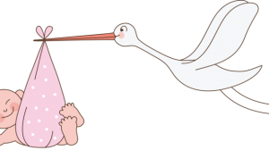 Cicogna